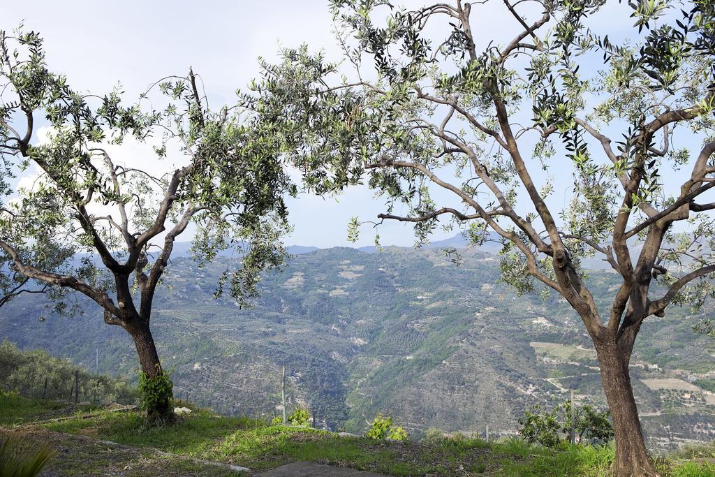 Terre Bianche Appartamenti Dolceacqua Exterior foto