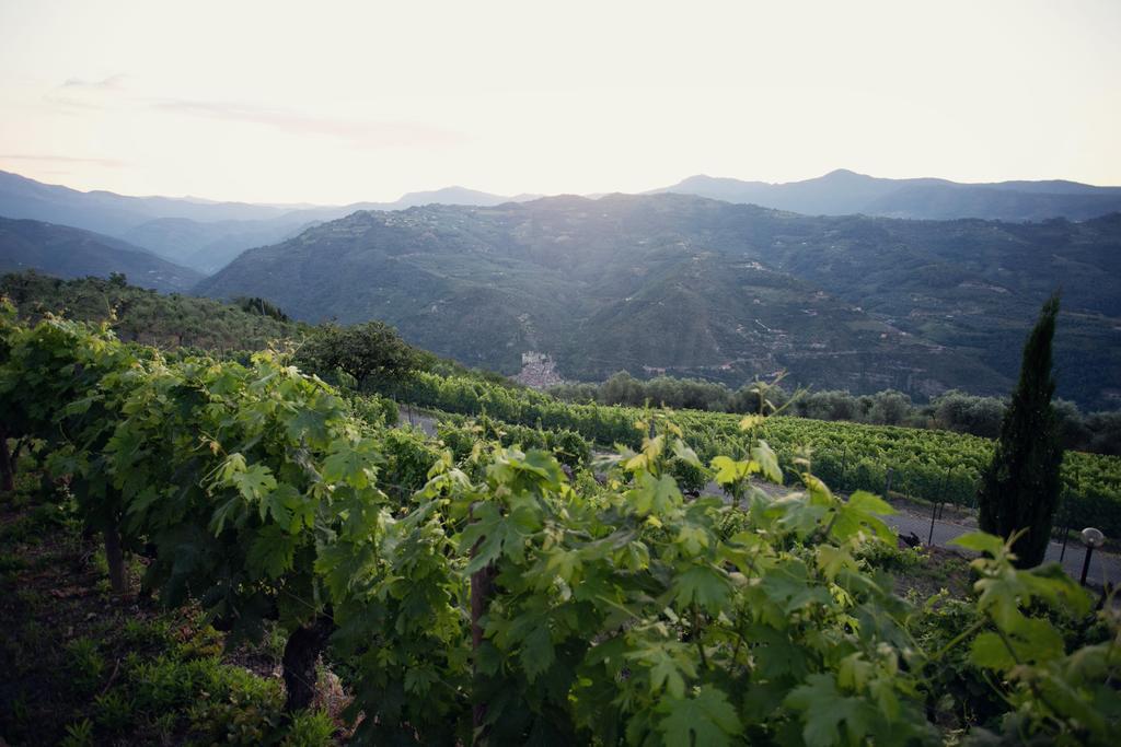 Terre Bianche Appartamenti Dolceacqua Exterior foto